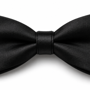 The Next Man Bow Tie